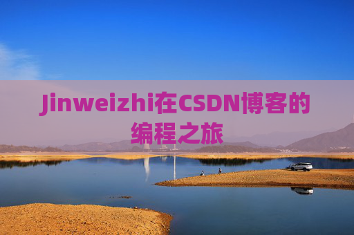 Jinweizhi在CSDN博客的编程之旅